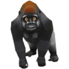 ;OUNTGORILLQ