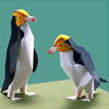 Yellow-eyed-Penguin