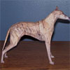 Greyhound