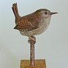 wren