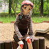 Large anime doll
