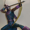 HawkEye