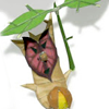 Korok Olivio