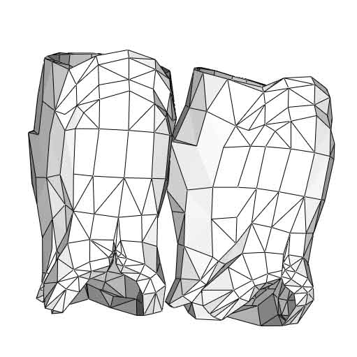 Prescott Shins